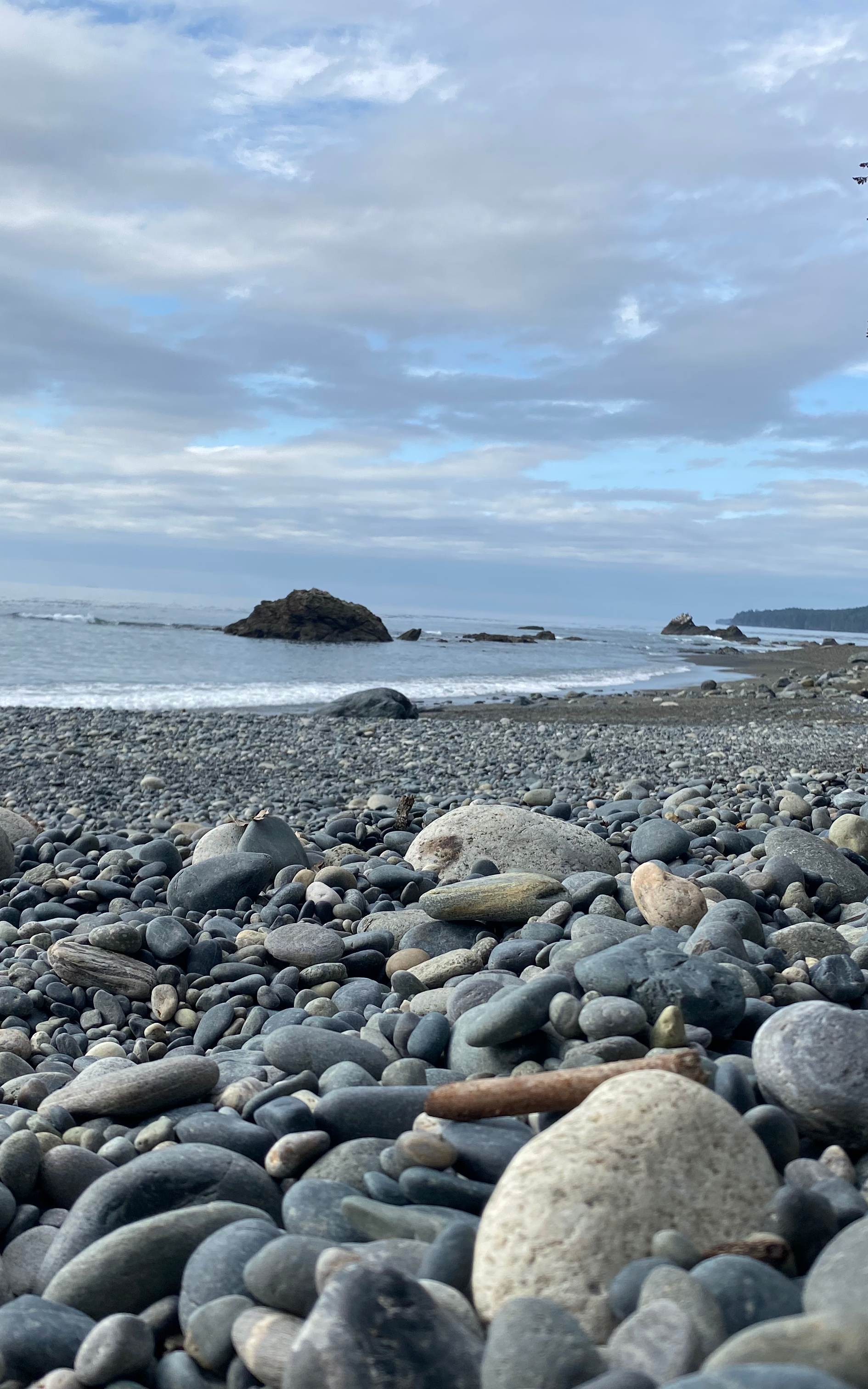 Juan de Fuca Park, Vancouver Island, Photo credit Elise Mackie.